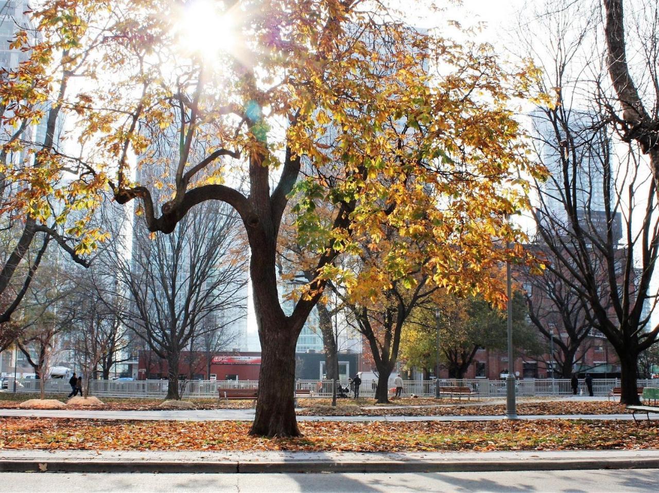 The Clarence Park Pansiyon Toronto Dış mekan fotoğraf